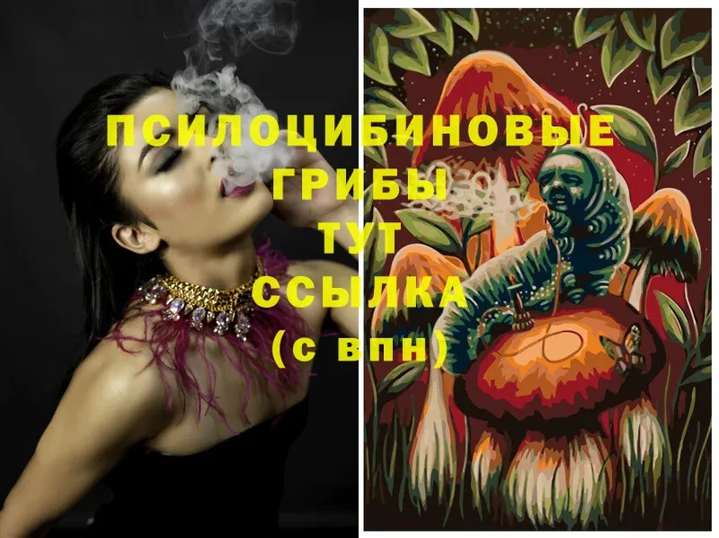 купить   Алапаевск  Псилоцибиновые грибы MAGIC MUSHROOMS 